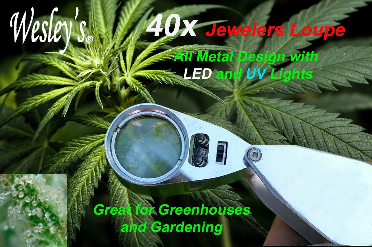 Jewelers Loupe 40x Magnifier with LED/UV Illumination and Unbreakable –  WESLEY'S AS YOU WISH